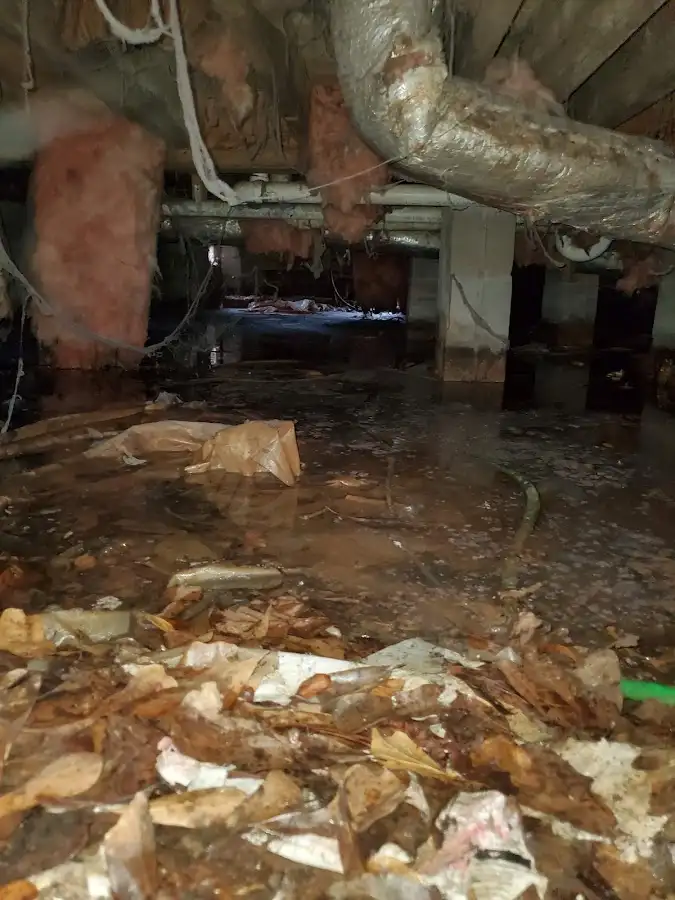 Crawl space flood assessment for Commercial Water Damage Restoration in Mount Vista